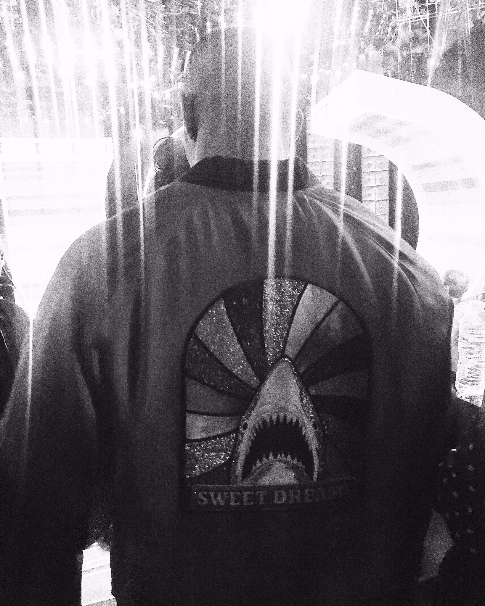 Sweet dreams shark jacket new arrivals