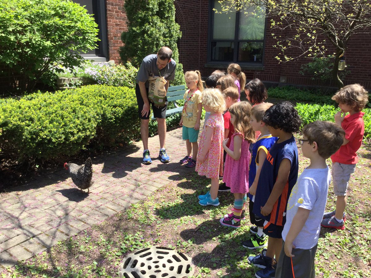 MJensen112's tweet photo. Where is the egg the chicken laid? @LincolnLions112 https://t.co/qdHRHzUuho