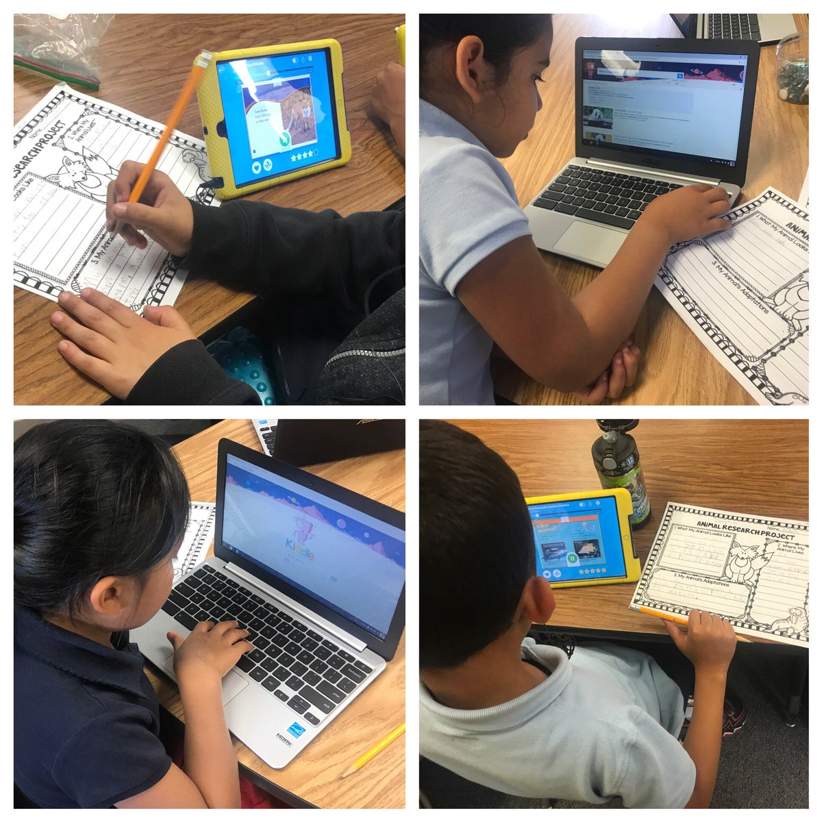 MrsKatieSanchez's tweet image. Working with technology to research animals is hard work, but we can do it! #WCSPerseverance