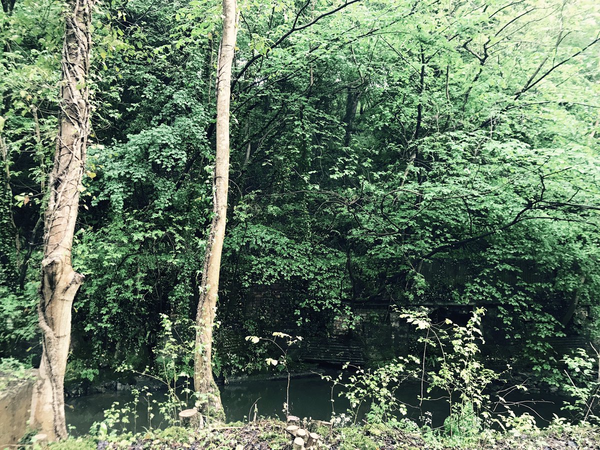 #teacher5aday ☺️