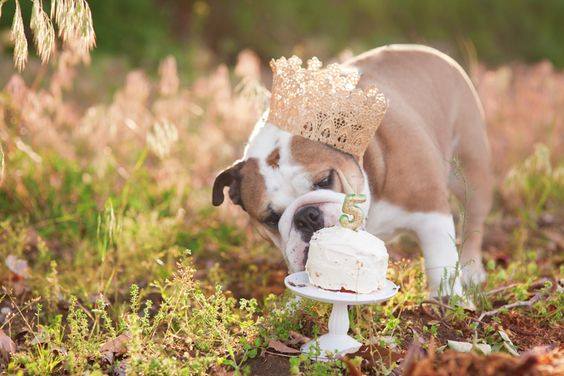 Gordon MacIntyre tweet media