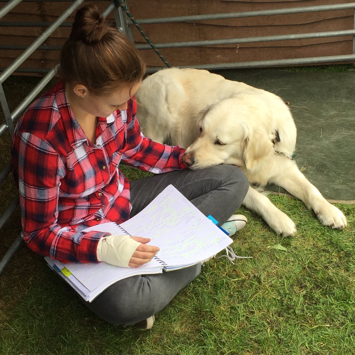 SHSKSchool's tweet image. Revision partners don't come better than that... #listeningear #calminginfluence