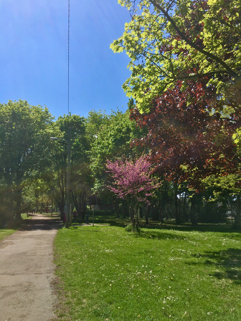 up_lau's tweet photo. #promenade #stadedel'I'll @mulhouse https://t.co/ZuSGy8ty0R