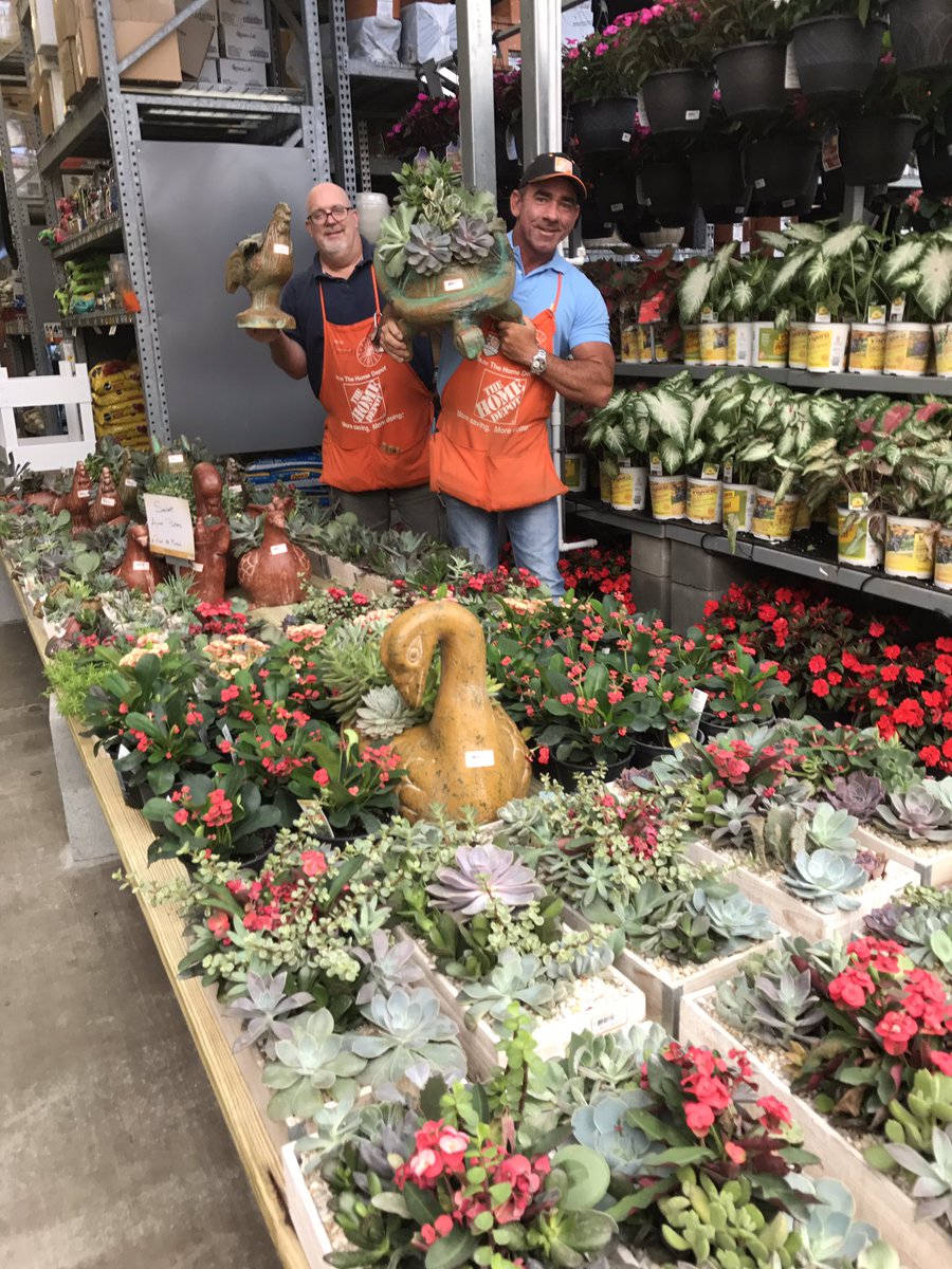 MattMattiace's tweet photo. 0159 Succulents Super Heavyweights! @freddyplants @Danny_THD @hollytate122 @ChrisBergHD @PBFmedia https://t.co/nuVrBDptJd