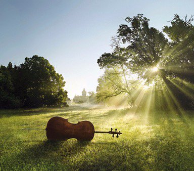 WASstudios's tweet image. Welcome to the best nature sounds...
wearesoundstudios.com