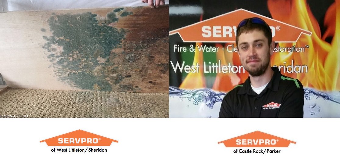 This was taken at the home of a customer who didn't think she had mold after a water loss. Thanks to Dalton, she doesn't anymore! #SERVPRO