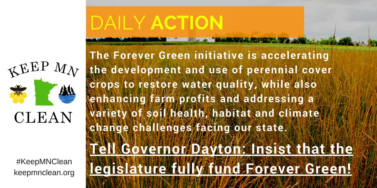 KeepMNClean's tweet image. Action: Tell @GovMarkDayton to insist #mnleg fully fund #UMN Forever Green. Helps farmers &amp;amp; environment #KeepMNClean keepmnclean.org