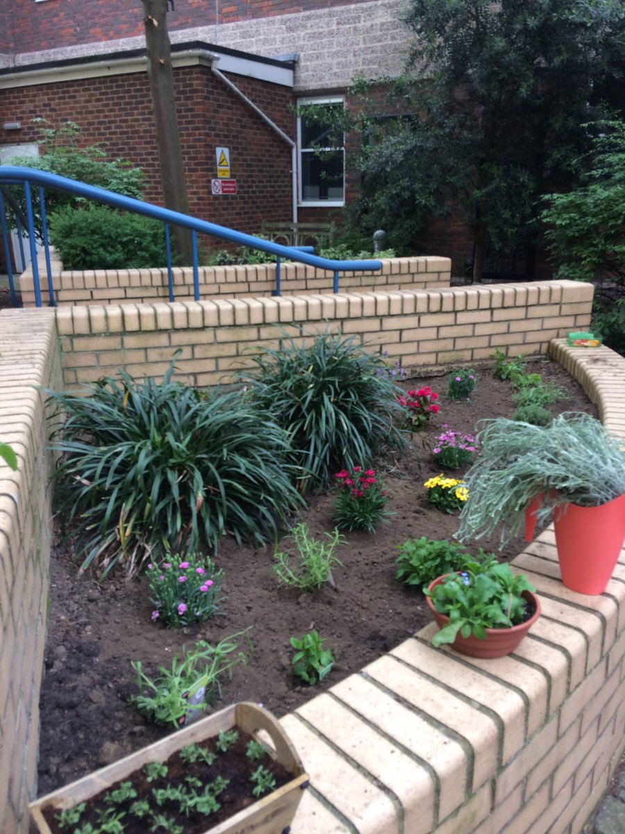 lynda_mcnab's tweet photo. The beginning of the sensory garden @NUH all hands on deck led by @DaDTeam1Newham who raised funds and enthusiasm #DAW2017 🦋🌸🌼🌻 https://t.co/So5DZl8t0f