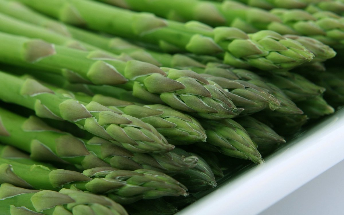 Fresh asparagus and rhubarb delivered right out of the field to <a href="/VincenzosTweet/">Vincenzo's Waterloo</a>