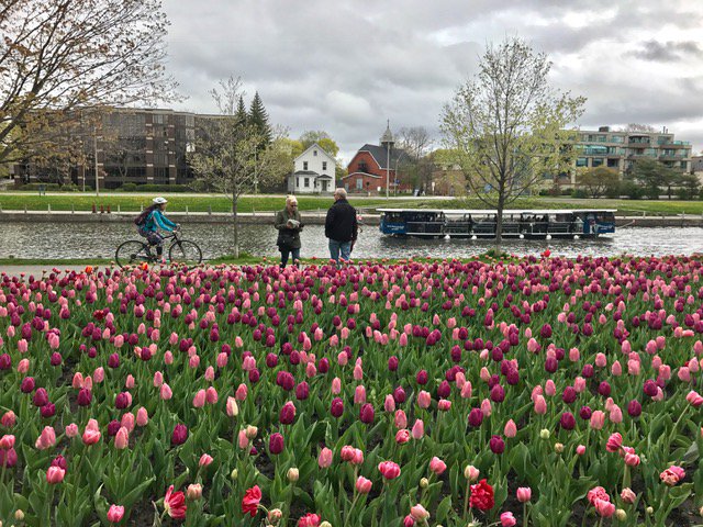 Ottawa_Tourism's tweet image. Happy to see @RideauCanalBoat back on the water for the summer season! #MyOttawa