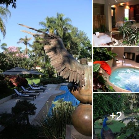 Spa Orlane by Las Mañanitas, reserva al 777 362 0009

goo.gl/Vy5Iym