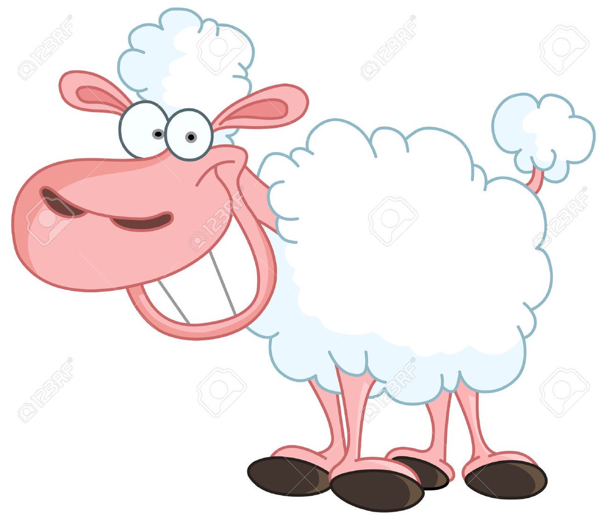 northtippshow tweet media