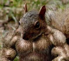 ReikiWay's tweet photo. #TuesdayMotivation #Motivation #PositiveVibes 
👉🏼You Can Do It!👈🏼
❤️Sending a HUG &amp; a SMILE out there to everyone!❤️
🙈🙉🙊 https://t.co/jAKE65GBRg