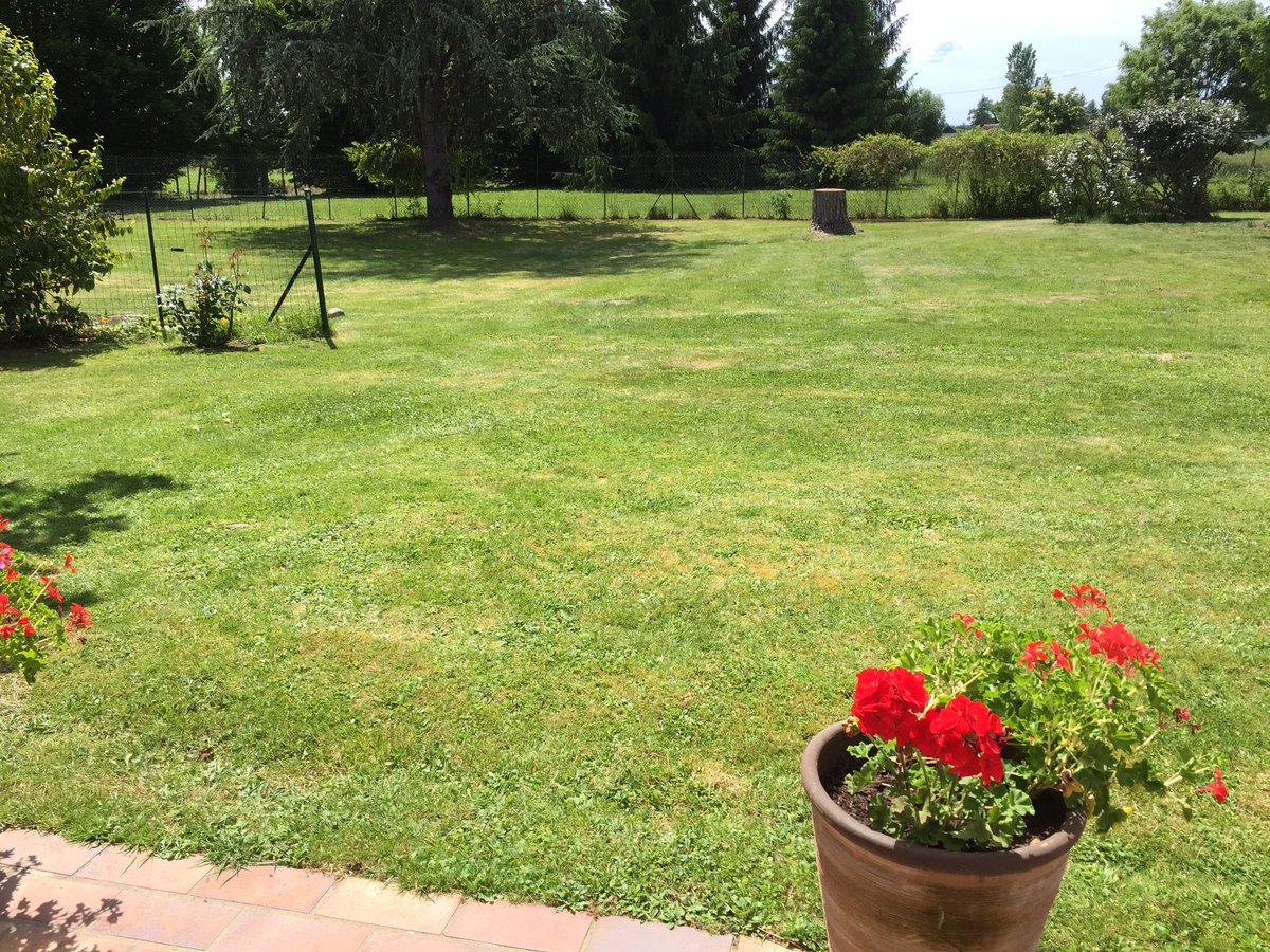 LesleyDD's tweet photo. Phew. 32 degrees today. https://t.co/X4KckMr1cg