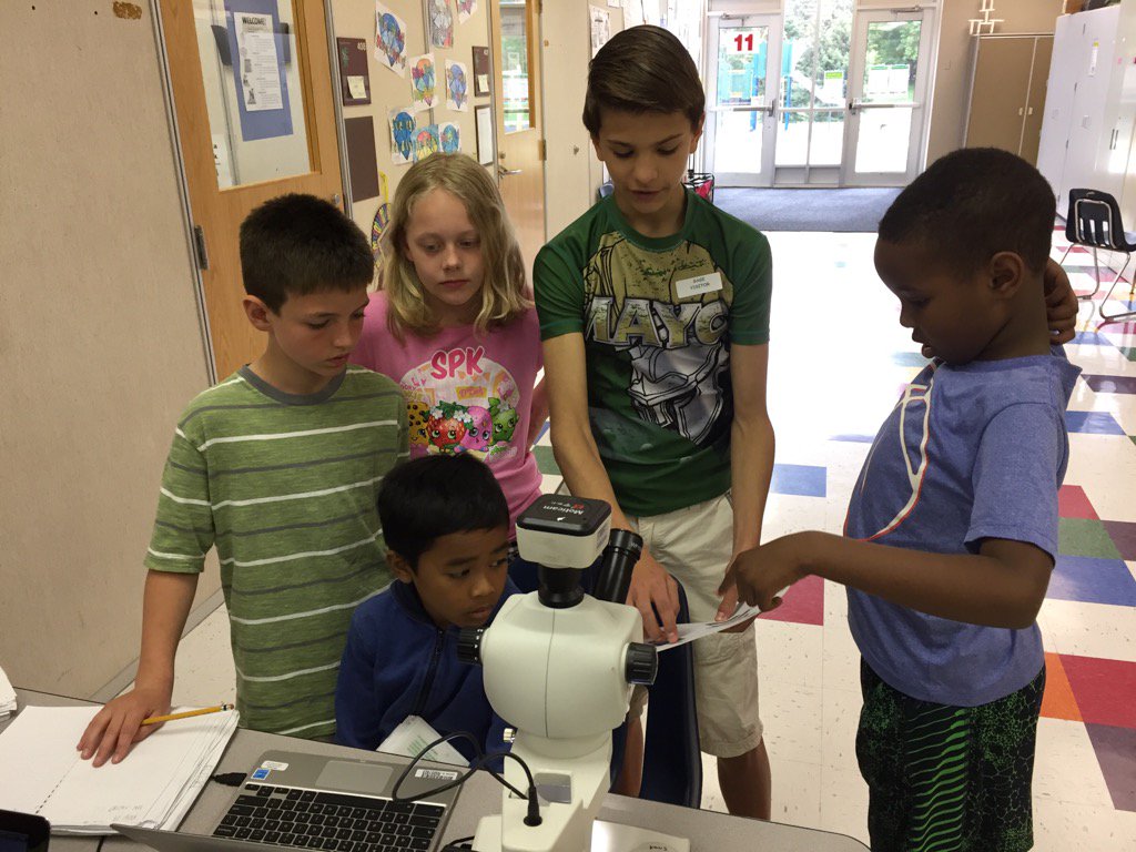 MsMickelsonRPS's tweet photo. Guest scientists from @LincolnK8School teaching us about zebrafish with @InSciEdOut! #Grade3GageMC #GageGators https://t.co/5hJWzFpJXi