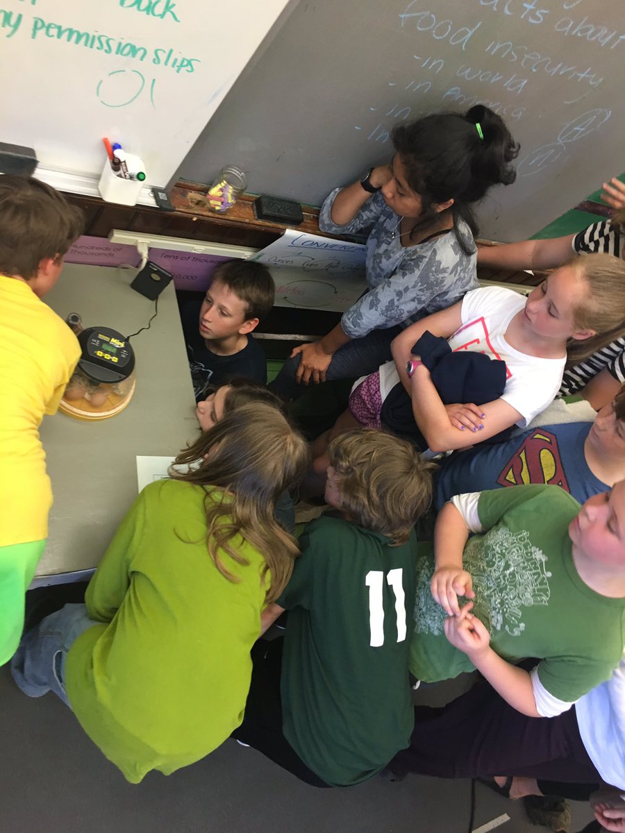 Kelly_Mascolo's tweet photo. Thanks to strong argument writing our students get to peep on some baby chicks hatching! #newaddtions #pbl @PeaksIslandES #piesrising https://t.co/xsoLonEOq6