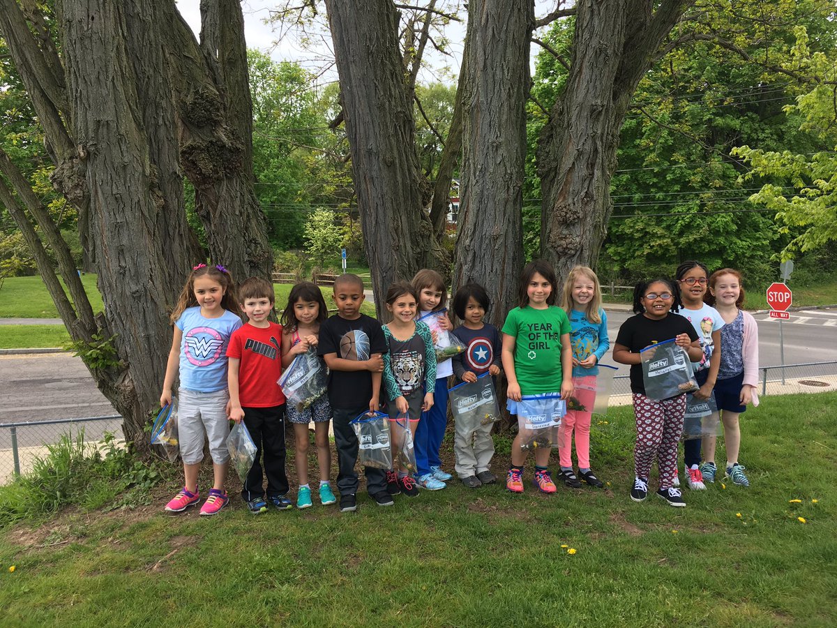 MsRumbleSL's tweet photo. Environmental art enrichment cluster is off to a great start! I can wait to see what our artists create! @syracuselatin https://t.co/1r753wzOJm