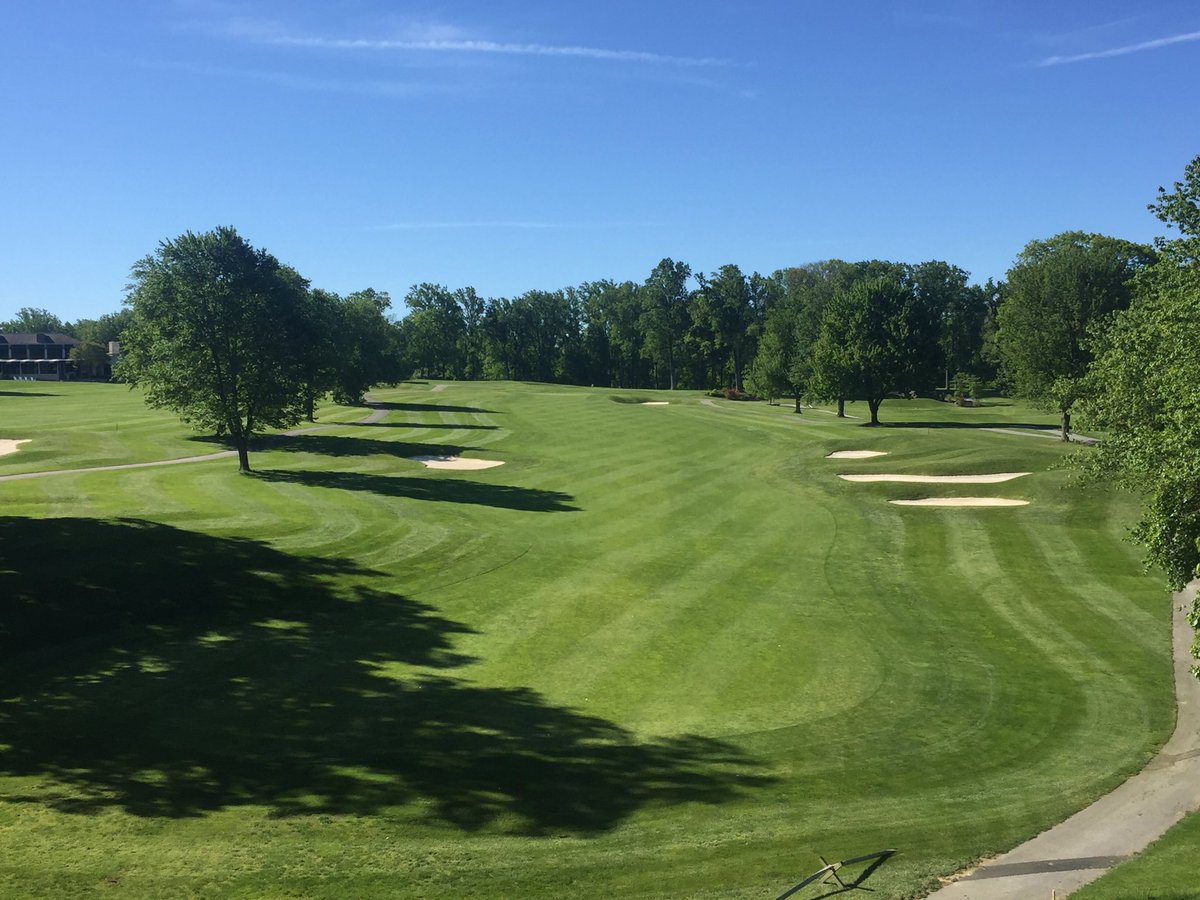 HillendaleTurf's tweet photo. A nice view up in the bucket truck today. Dead Ash trees' days are numbered. https://t.co/P93gxpRTYL