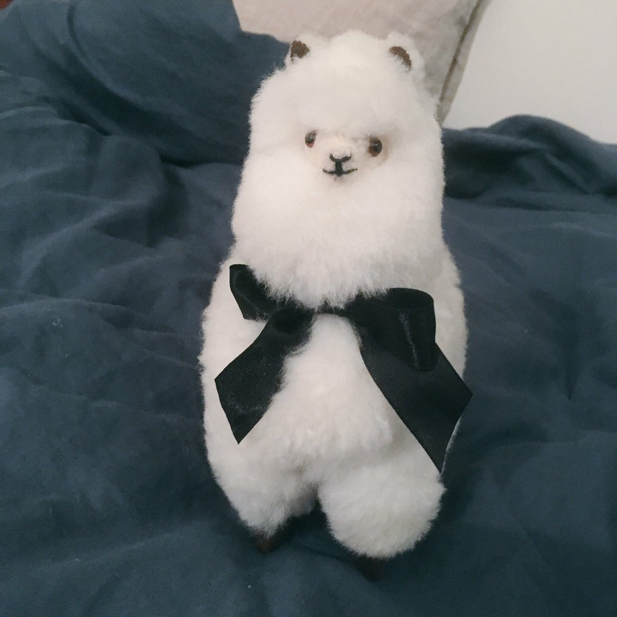 appetite_'s tweet image. 이 알파카 인형은 중남미 여행을 다녀온 친구가 준 것으로, 알파카 털을 조금 이발해서 만들었기 때문에 만져보면 다들 놀랠 것... 상상 속 구름 만지는 느낌,