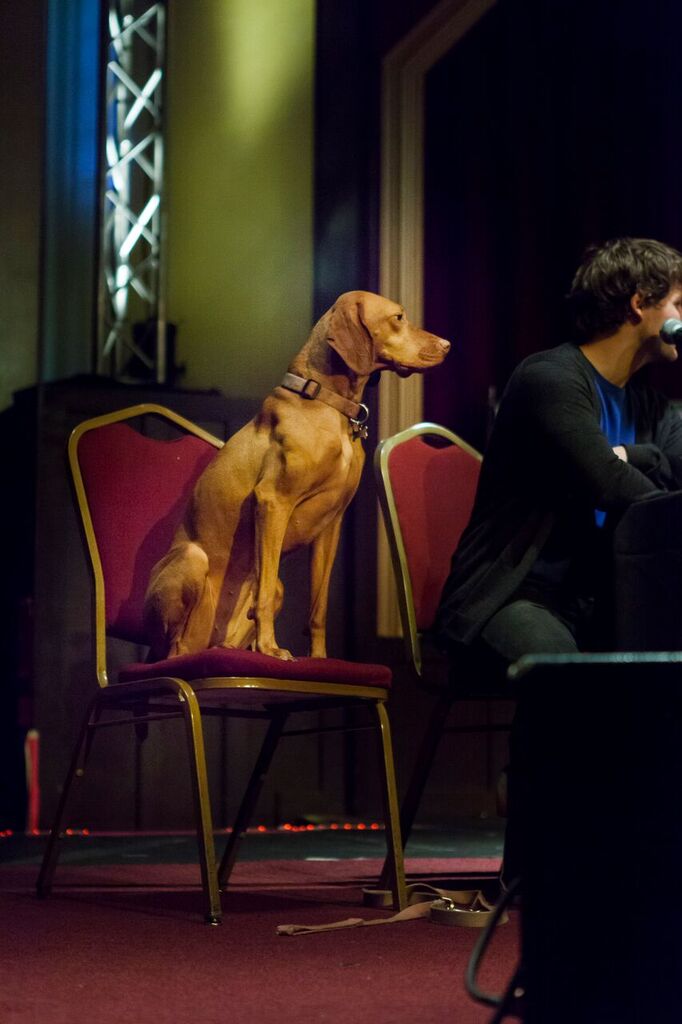 Can I Pet Your Dog? tweet media