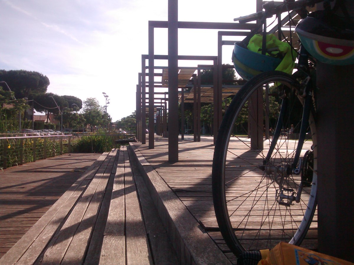 jairoalonso tweet media