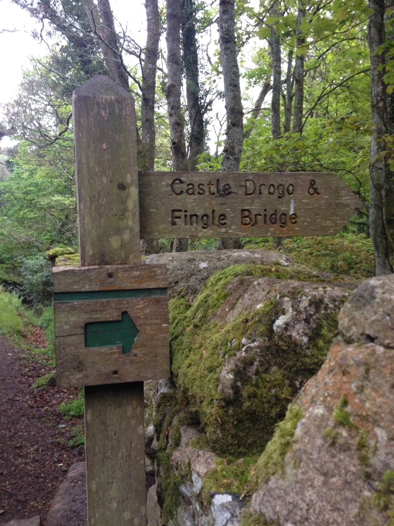 jimpy368's tweet photo. @twomoorsway the section between #chagford & #morchardroad is well #waymarked a good #walk #hike today #twomoorsway @GreatDevonDays https://t.co/VH0Yngy5NL