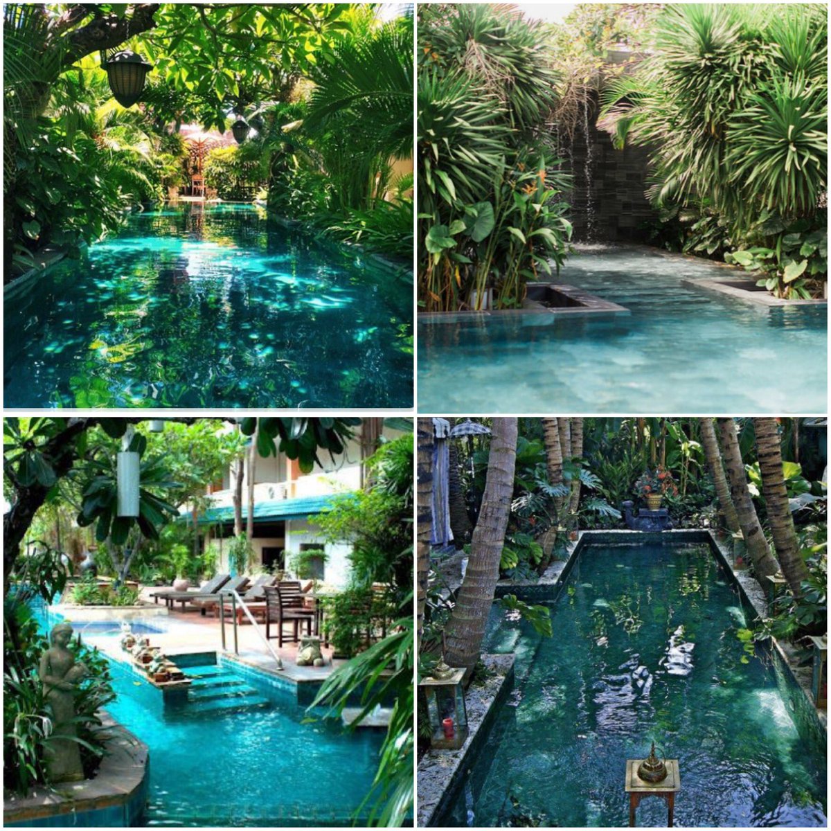 ROCAtoys's tweet photo. Amazing jungle pools 🌴🏊🏼🌴 #gardenpool #summerpool #gardenlife #junglepool https://t.co/YZOXjlHogJ