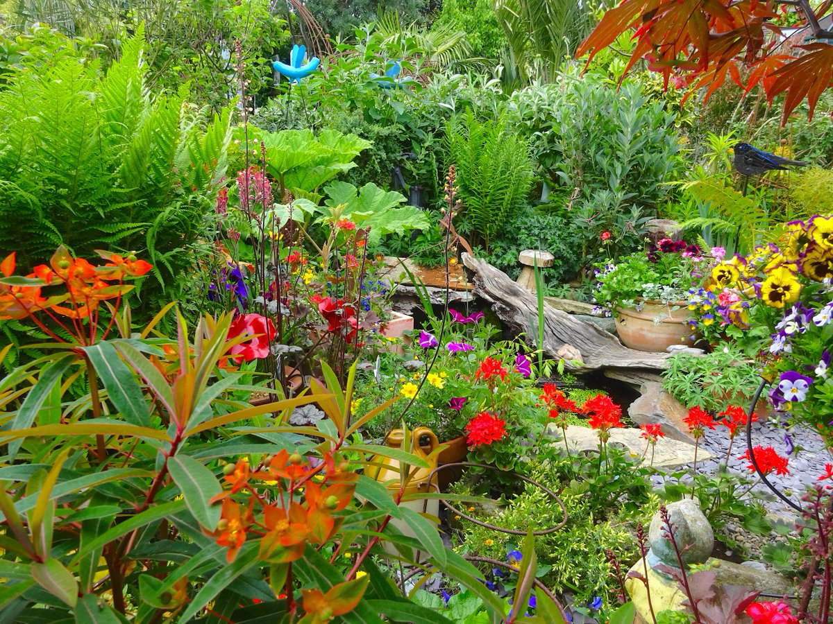 View from the kitchen this evening! driftwoodbysea.co.uk