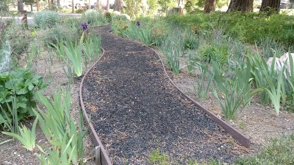 UCLAArrowhead's tweet photo. #NaturePaths spread throughout #UCLALakeArrowhead for #MeetingGuests to decompress between sessions. #WeDoMeetings https://t.co/wPOmoMA3In https://t.co/in801QaWxM