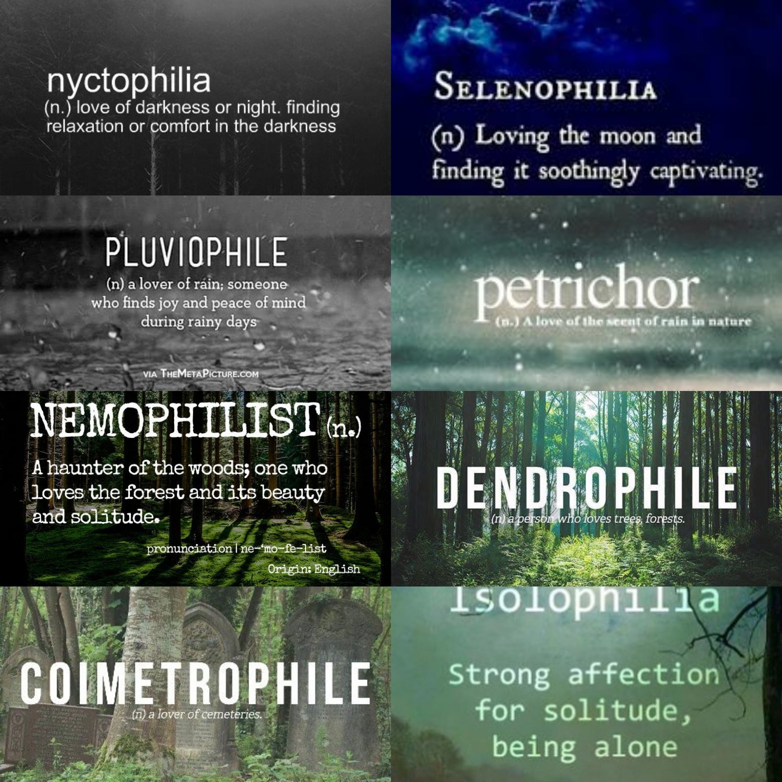 Pluviophile Deutsch Pluviophile Deutsch