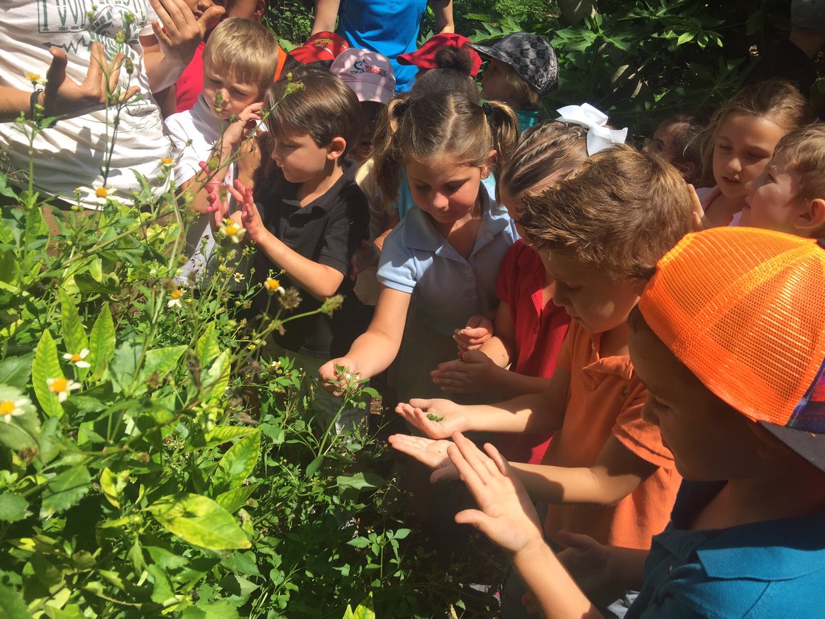 katieblack04's tweet photo. #FoodForest @fgcu and Kleist Health Education Center! #Kindergarten @CESCorkyBear https://t.co/fpT8yNIQj1