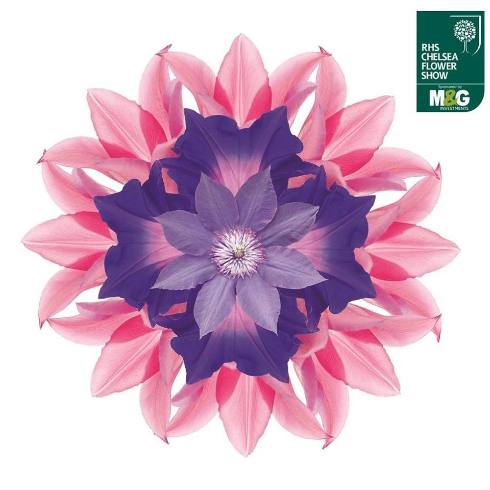 scottsthrapston's tweet image. Only 1 week until @RHSChelsea Flower Show opens its gates. Top things to see at this great event: bit.ly/2qsFAT3  #RHSChelsea