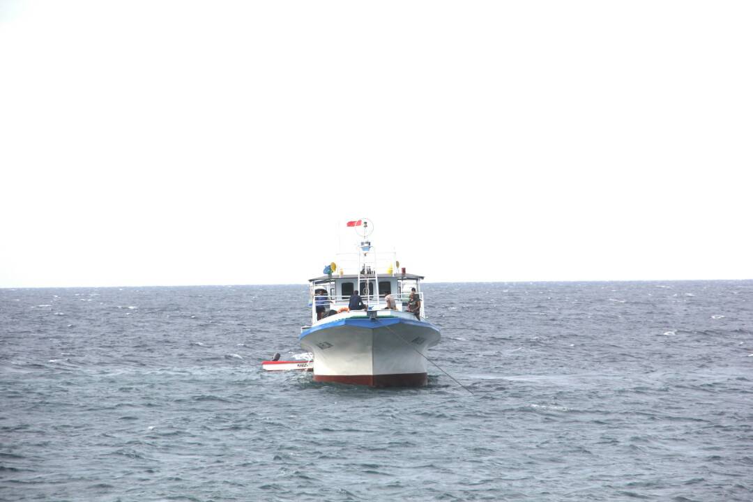 Bass Marlin tweet media