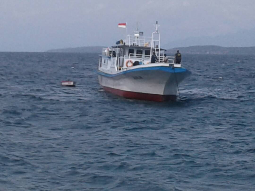 Bass Marlin tweet media