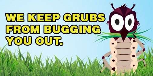WeedProLawnCare's tweet photo. It's Time to Scrub the Grubs!
https://t.co/iRvhTNmcJS
#weedpro #grubs https://t.co/wyzr6cF78b