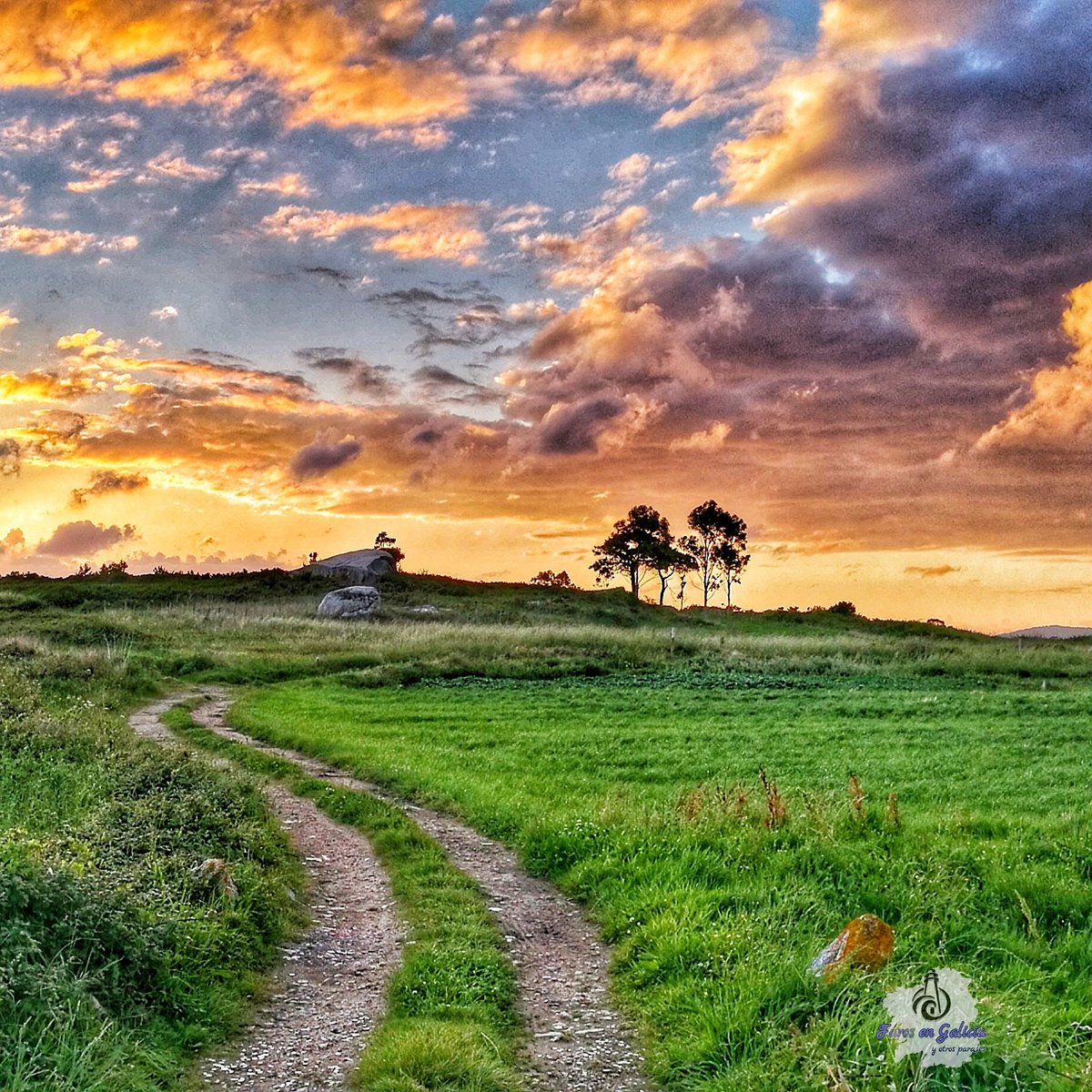 Camiño en Carreira - #riveira 
<a href="/galifornia/">Galifornia</a> <a href="/secreto_galicia/">secretos de galicia</a> <a href="/SienteGalicia/">SienteGalicia</a> <a href="/SESEIXA/">Seseixa</a>