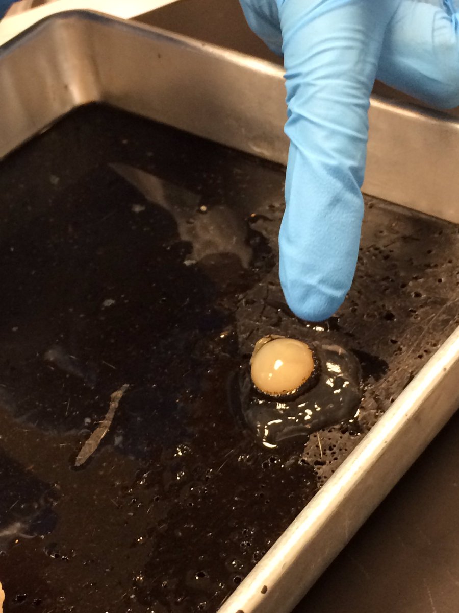 AJ Arnold tweet media