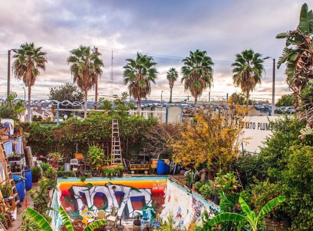 LAist's tweet photo. The 'Gansgsta Garden' Is Saved From Eviction https://t.co/rA5lb78Y4c https://t.co/PF2iG5BcZS
