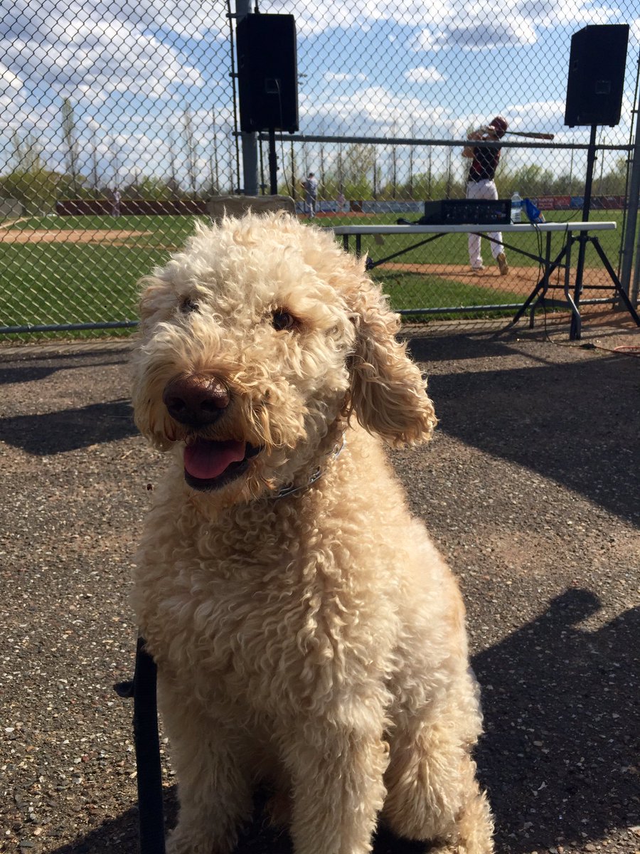 BaseballCrimson's tweet photo. #1 fan @officialotis in the house! https://t.co/waZlBDdbZT