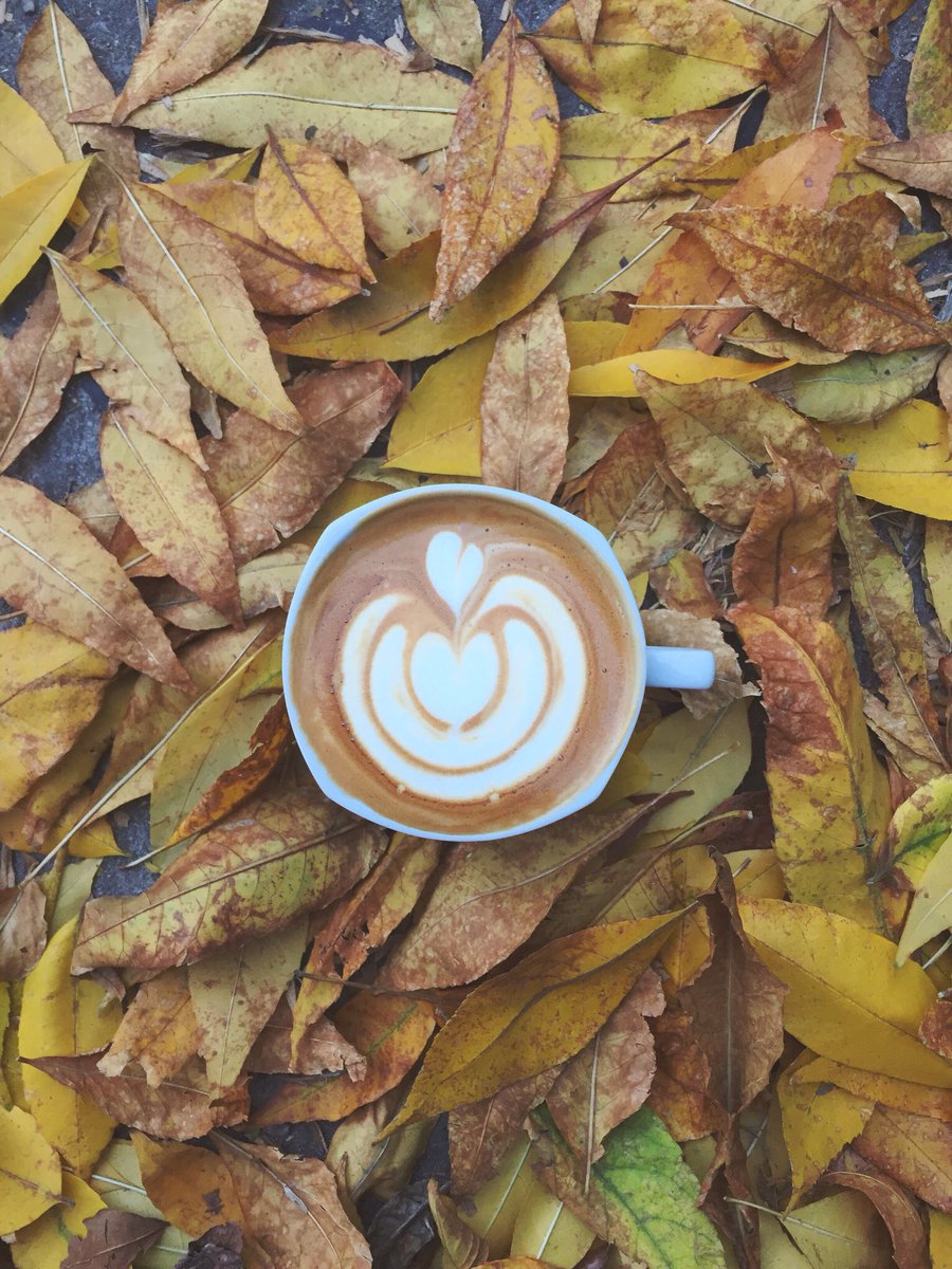 allsaintscafe's tweet photo. Llegó el otoño 🍂☕️ #coffeevibes #autumnleaves #allsaintscafe https://t.co/QEZHbxfibR