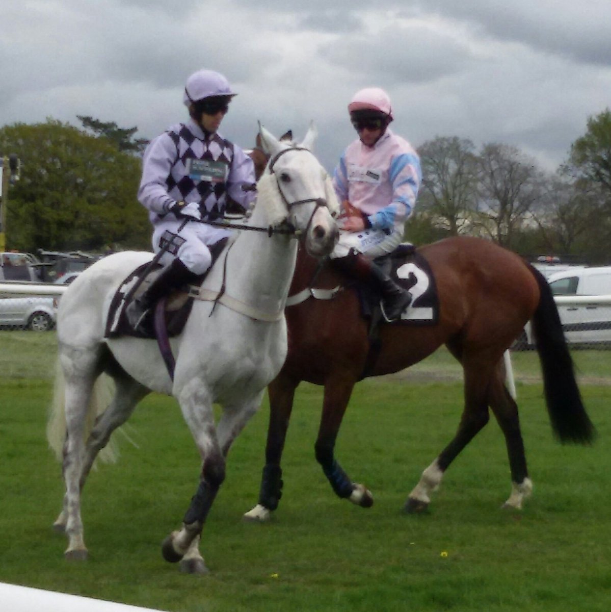 I reckon this 'aeroplane' of a horse could 'nach hause fliegen' in the 7.35 <a href="/FontwellPark/">Fontwell Park</a> tomorrow eve for <a href="/SeamusMullins1/">Seamus Mullins</a>