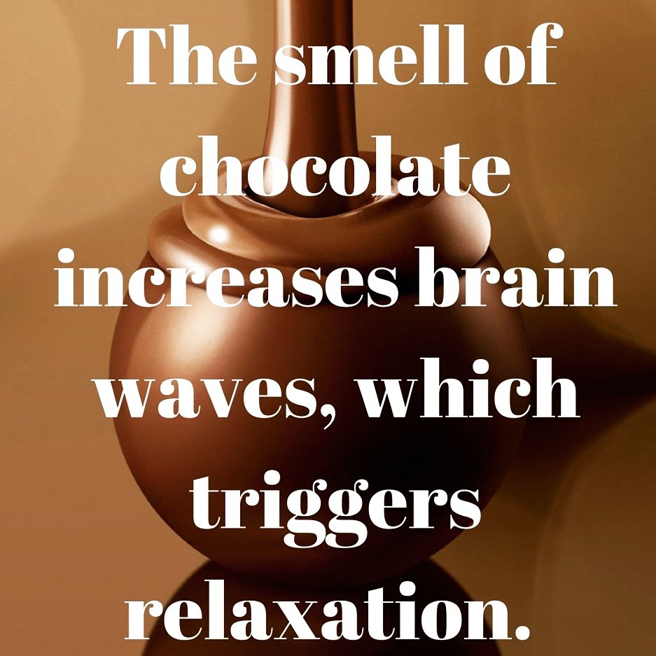 MtnManNut's tweet photo. Yay! 😍
#chocolate #chocolates #brain #mountainmannutandfruitco https://t.co/U7zO5uWxE4
