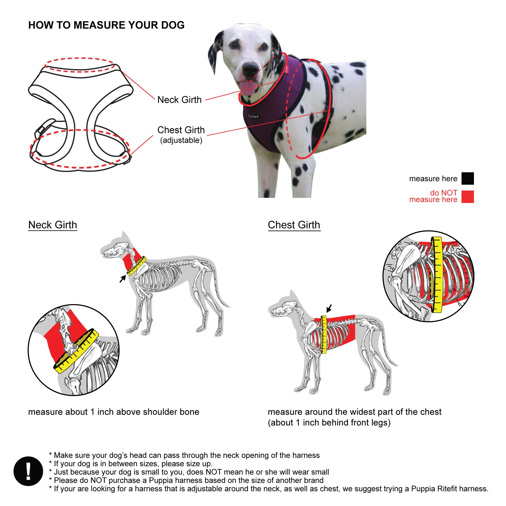 Puppia International på Twitter: "How to properly measure your dog Puppia Harness A https://t.co/B3sTCjpvmT" Twitter