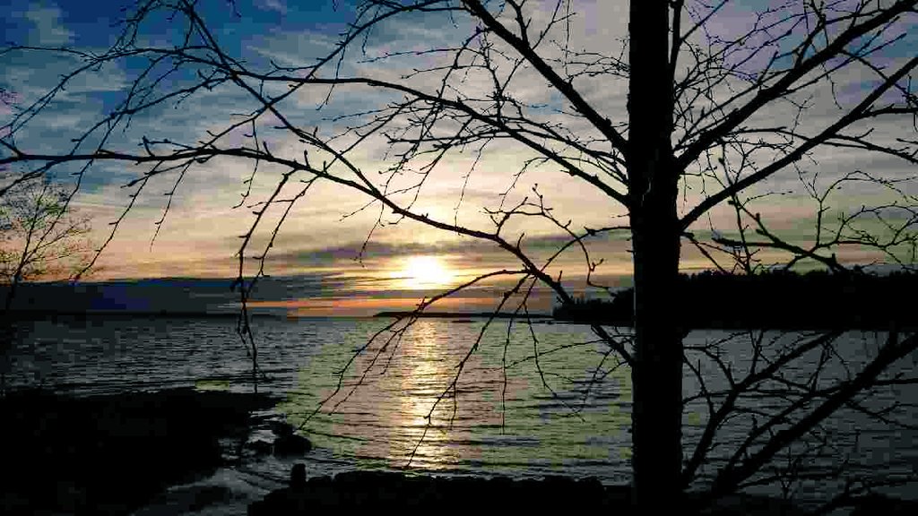 MaipuMaire's tweet photo. SerkkultaKuvapostia😃Auringonlasku #Merentaa⛵☉Aamuun👀💕@IrmeliKaija @JohannaKukka @PulmuM @TiinaAiraksinen @LindenA_S https://t.co/lmDn16IXcC