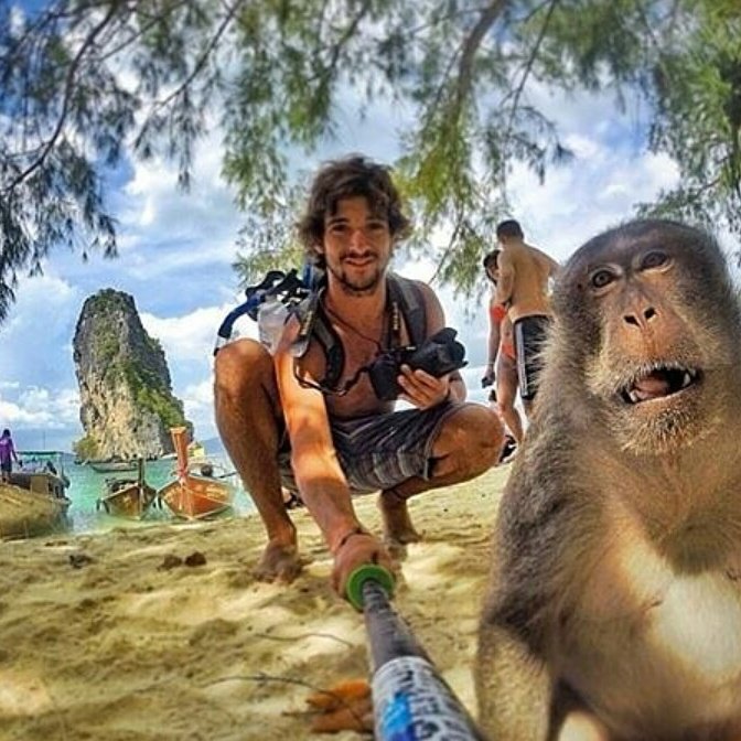 ontripworld's tweet photo. Selfieeeee😉 Tourism is about finding new friends🐒
📌Tonsai Beach, Krabi, Thailand🏖
Photo by @fedemaiz📸
#OnTrip #TonsaiBeach #Krabi #Thailand https://t.co/77WWADuICq