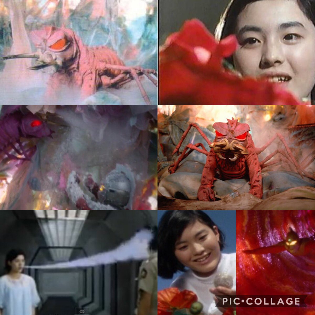 S Murakami ウルトラセブン 第31話 悪魔の住む花 昭和43年 1968 5月5日 放映 宇宙細菌 ダリー 登場 脚本 上原正三 監督 鈴木俊継 特殊技術 的場徹 T Co 8isrsorqfc