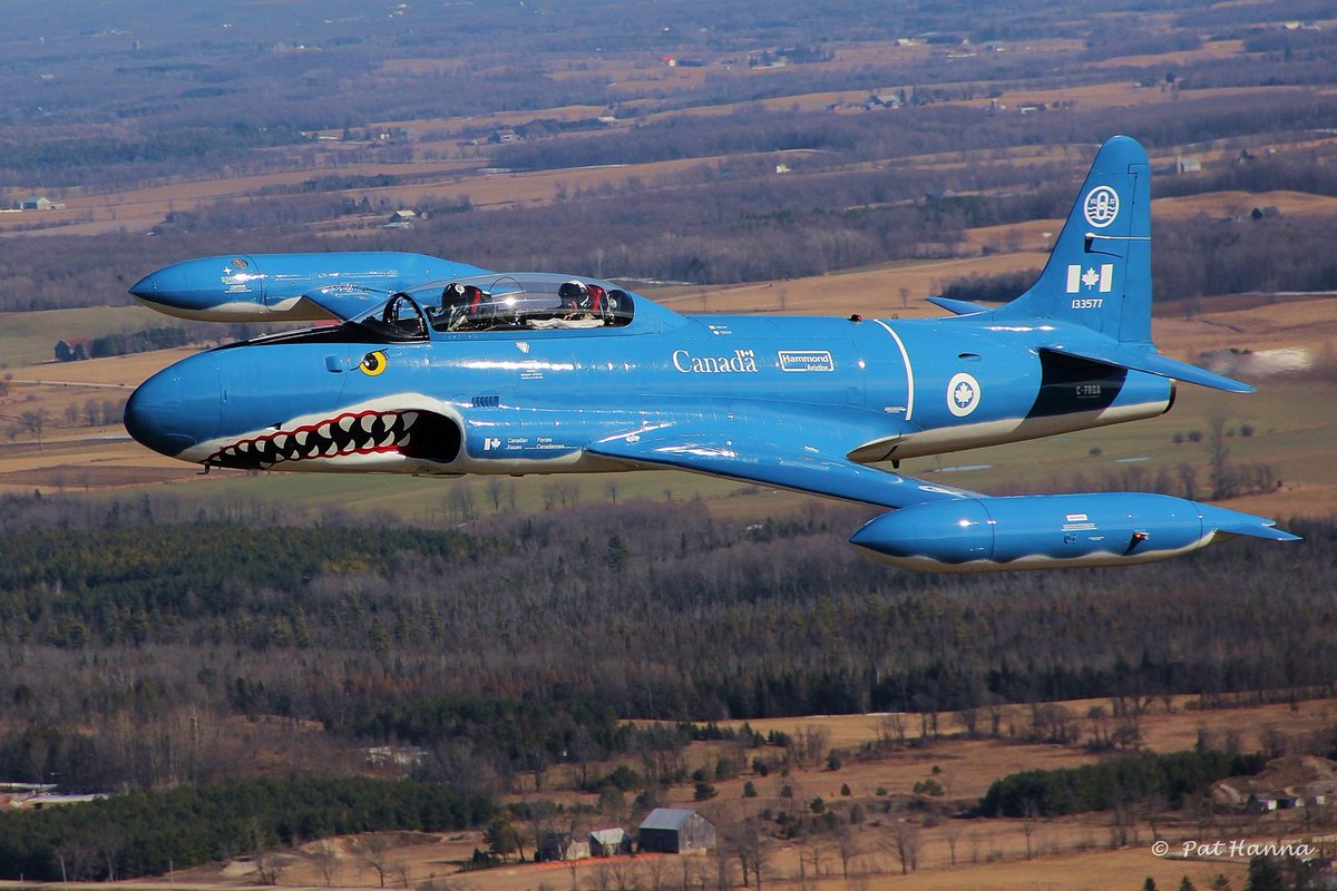 City of Hamilton tweet media