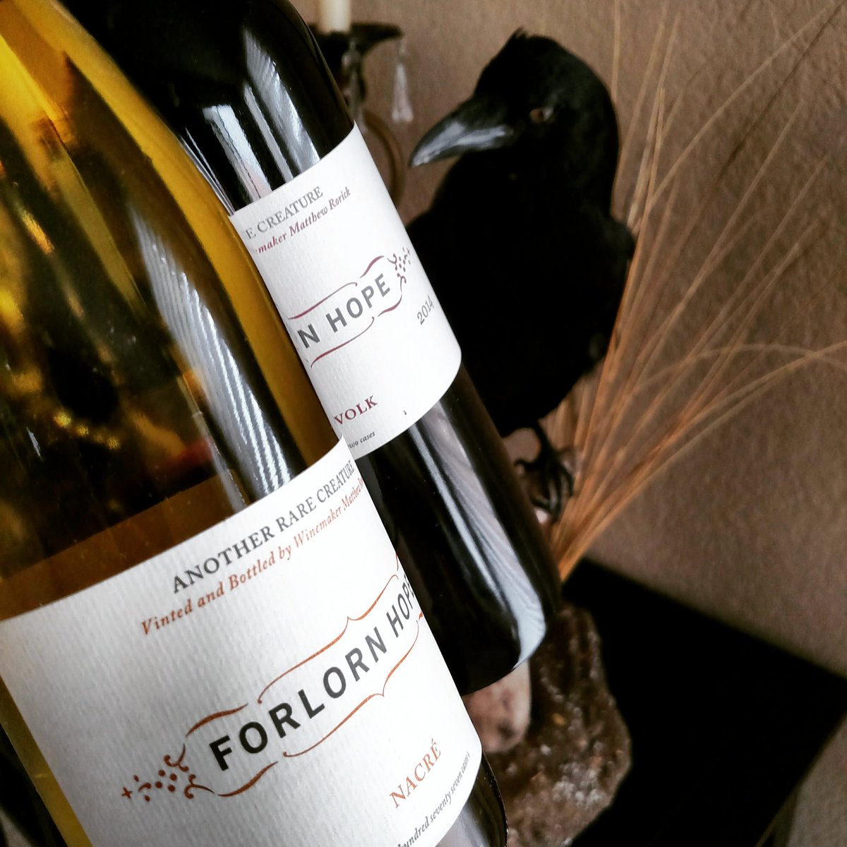 wine1percent's tweet photo. When the doorbell rings and it's Santa Claus!!! @ForlornHopeWine #rarecreature #winetwits #wine @CalaverasCounty @OriginalNFV #napachats https://t.co/VG2Wn2hQTX