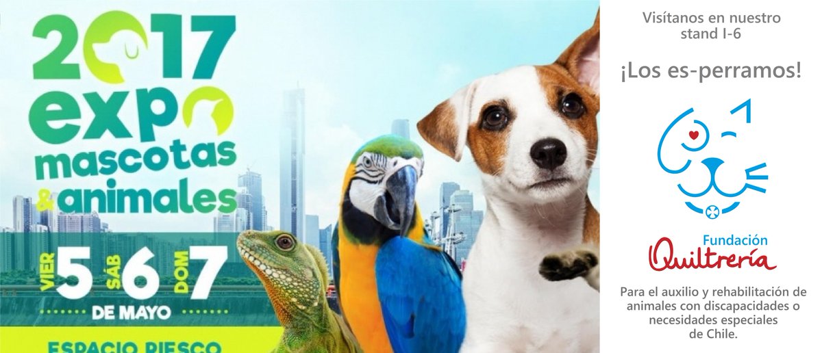 Quiltreria's tweet photo. ¡Familia #Quiltrera!
Estaremos presentes este fin de semana en la @ExpoMascotas_cl, ¡los es-perramos junto a Lobito, Nut y Venus! https://t.co/QtveRkPZKu
