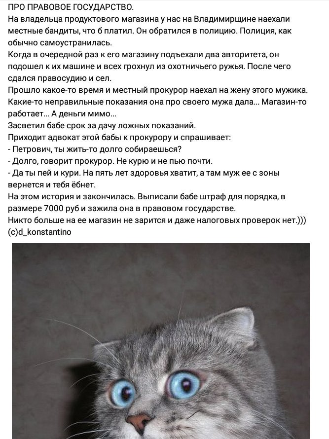 fillip_ina's tweet photo. Щикарно🖒 https://t.co/8RQZ0gkiER